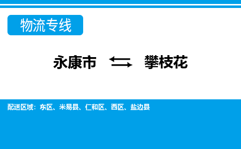 永康到攀枝花物流公司|永康市到攀枝花货运专线-效率先行