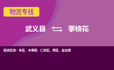 武义到攀枝花物流公司|武义县到攀枝花货运专线-效率先行