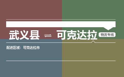 武义到可克达拉物流公司|武义县到可克达拉货运专线-效率先行