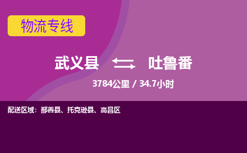 武义到吐鲁番物流公司|武义县到吐鲁番货运专线-效率先行