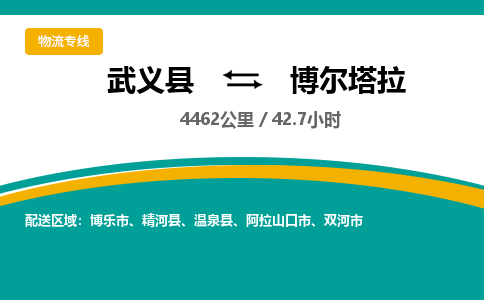 武义到博尔塔拉物流公司|武义县到博尔塔拉货运专线-效率先行