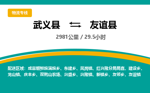 武义到友谊县物流公司|武义县到友谊县货运专线-效率先行